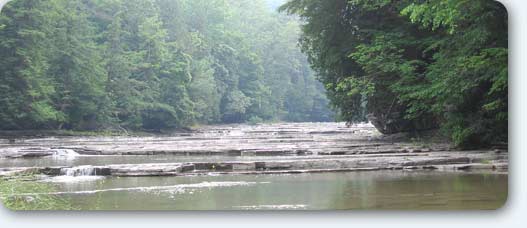 Sahaja Meditation: Feel like you're in a pristine area in nature, no matter where you live